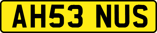 AH53NUS