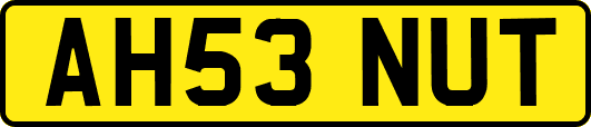 AH53NUT