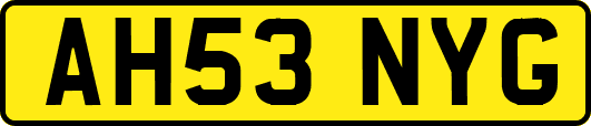 AH53NYG