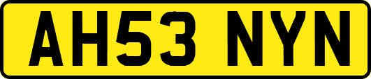 AH53NYN