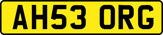 AH53ORG