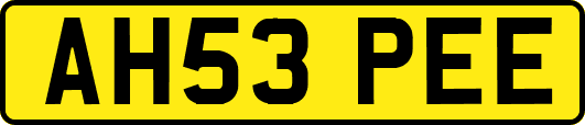 AH53PEE