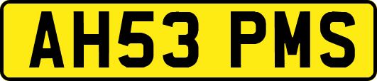 AH53PMS