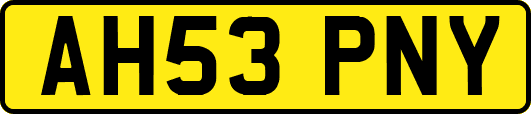 AH53PNY