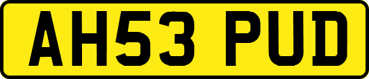 AH53PUD