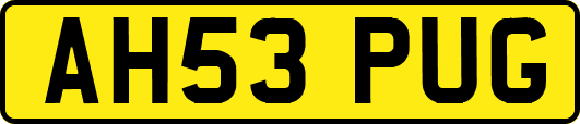 AH53PUG
