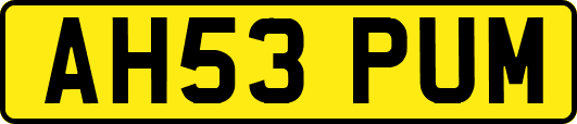 AH53PUM