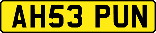 AH53PUN