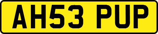 AH53PUP