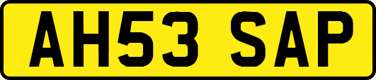 AH53SAP