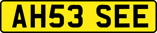 AH53SEE