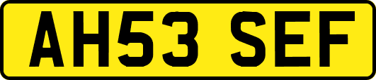 AH53SEF
