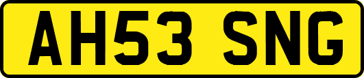 AH53SNG