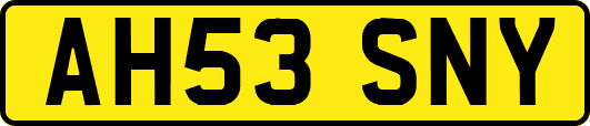 AH53SNY