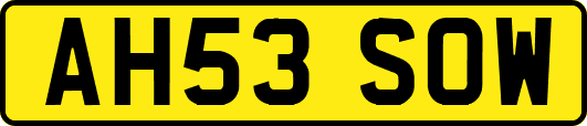 AH53SOW