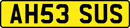 AH53SUS