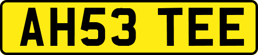 AH53TEE