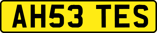AH53TES