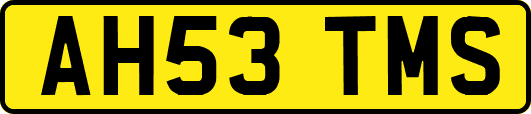 AH53TMS