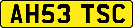 AH53TSC