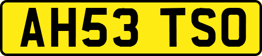 AH53TSO