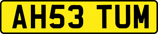 AH53TUM