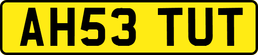 AH53TUT