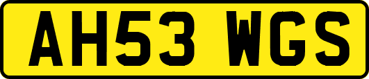 AH53WGS