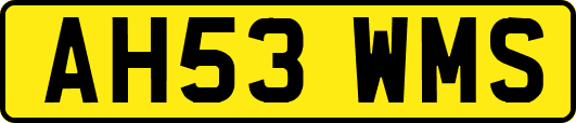 AH53WMS