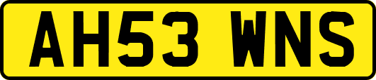 AH53WNS
