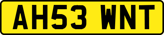AH53WNT