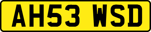 AH53WSD