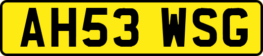 AH53WSG