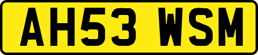 AH53WSM