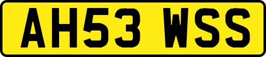 AH53WSS
