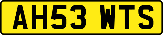 AH53WTS