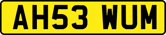 AH53WUM