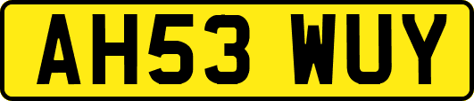 AH53WUY