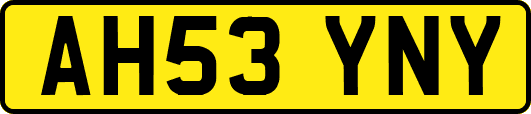 AH53YNY