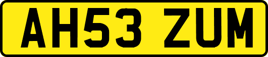 AH53ZUM