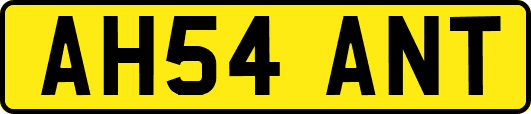 AH54ANT