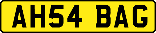 AH54BAG