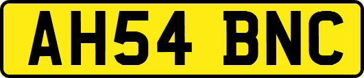 AH54BNC