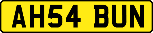 AH54BUN