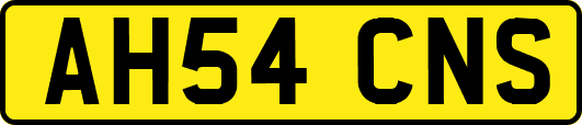 AH54CNS