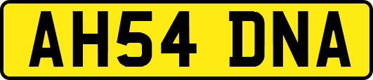 AH54DNA