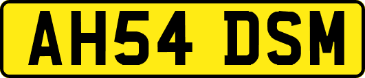 AH54DSM