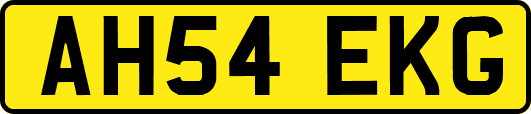 AH54EKG