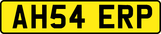 AH54ERP