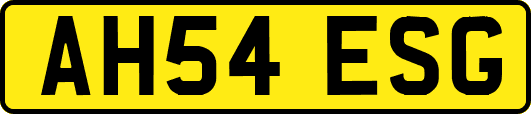 AH54ESG